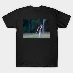 Kookaburra T-Shirt